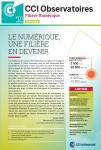 2014_04_CCI_Observtaoires_1_Numerique